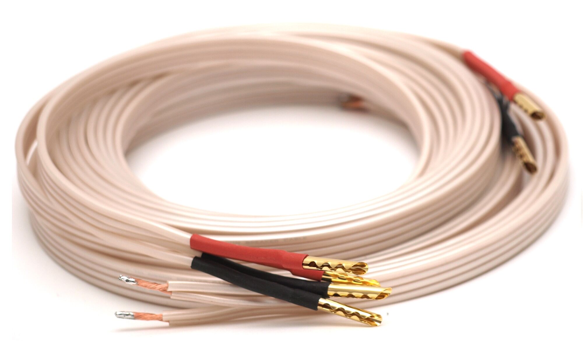 TCI Ribbon biwire
